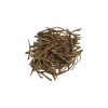 Silene capensis